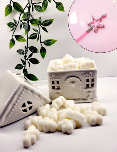 Nuages Enchantés- Poudre de Fée 100g