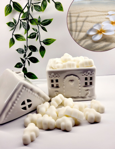 Nuages Enchantés- Ile de velours 100g