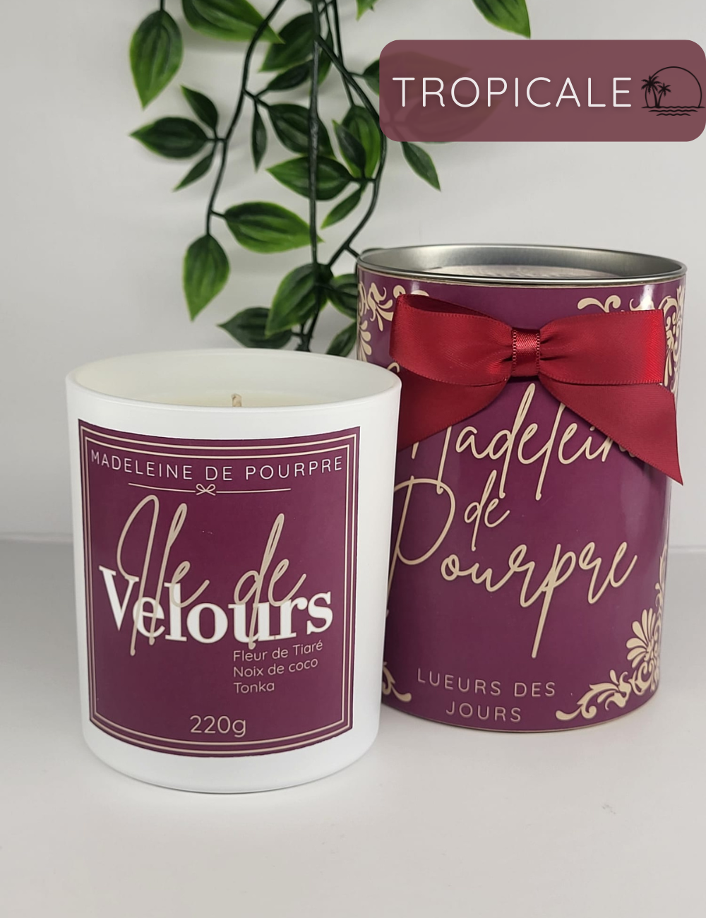 Ile de velours - Bougie Parfumée 220g - Cire Végétale Premium