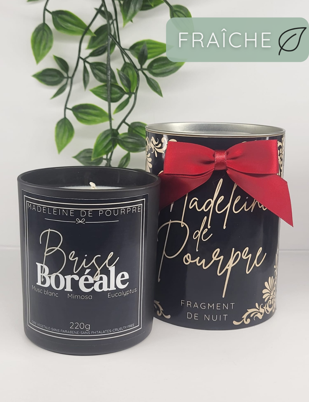 Brise Boréale - Bougie Parfumée 220g - Cire Végétale Premium
