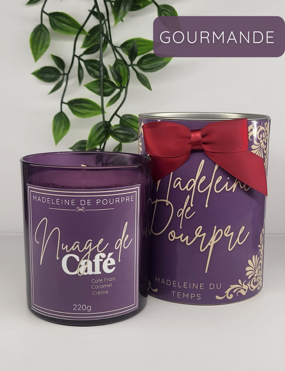 Nuage de Café - Bougie Parfumée au Café Moka  - Cire Végétale Premium - 220g