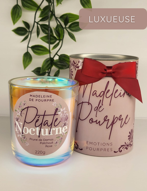 Bougie prestige Fragrance haut de gamme Pétale nocturne 220g