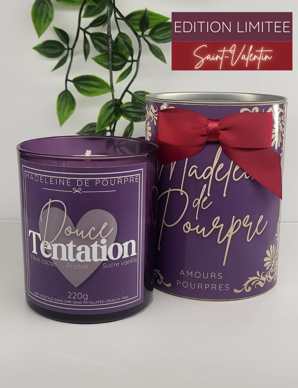 Douce Tentation - Bougie Parfumée 220g - Cire Végétale Premium