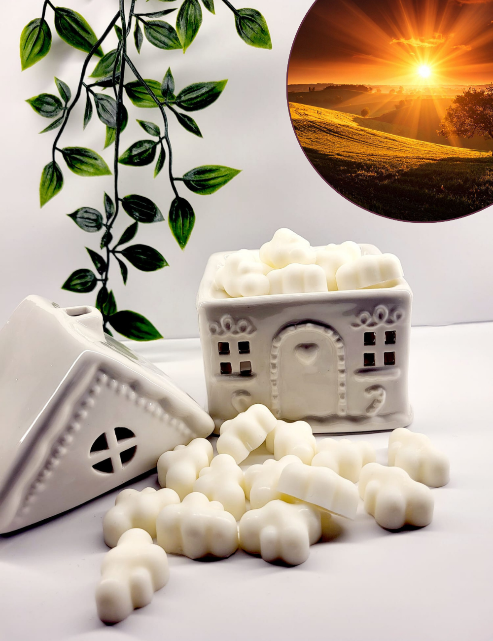 Nuages Enchantés - Fondants Solides - Nuit Brésilienne