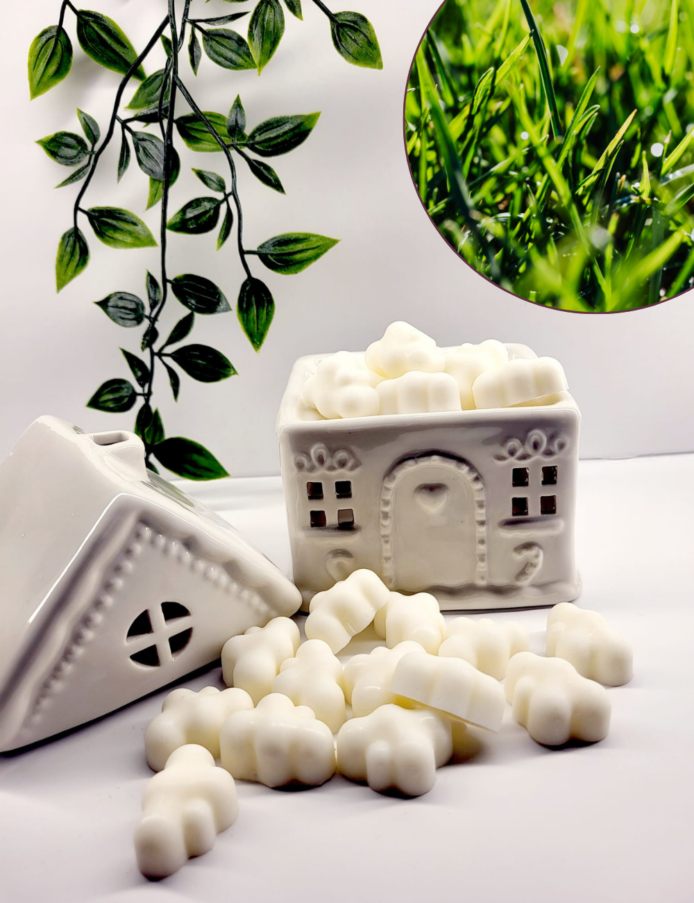 Nuages Enchantés- Fondants Solides- Balade en Herbe