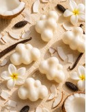 Fondants parfumés en cire végétale. Senteur ile de velours, noix de coco,tiaré,tonka. Madeleine de Pourpre.