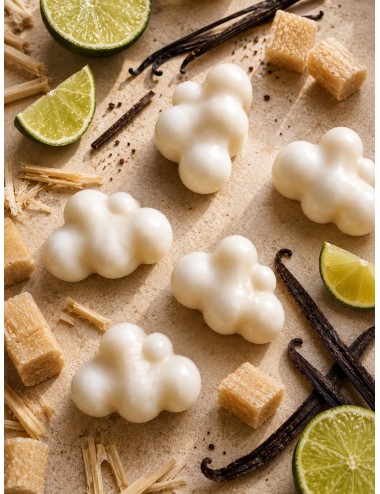 Fondants parfumés en forme de nuages.Cire végétale colza-coco. Senteur estivale solaire coco citron.Madeleine de Pourpre.
