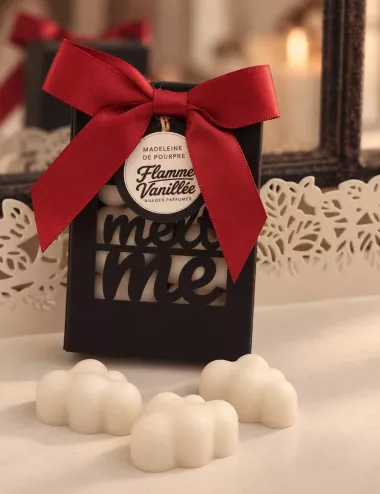 MELT-ME-MINI Flamme Vanillée-Fondants Parfumés