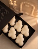 MELT-ME-MINI Caresse d'Antan-Fondants Parfumés