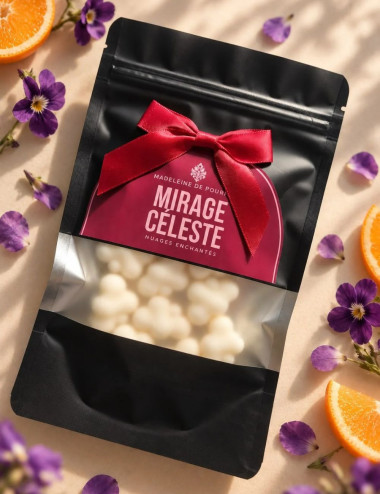Fondants parfumés en cire végétale, senteur mirage céleste. Madeleine de Pourpre