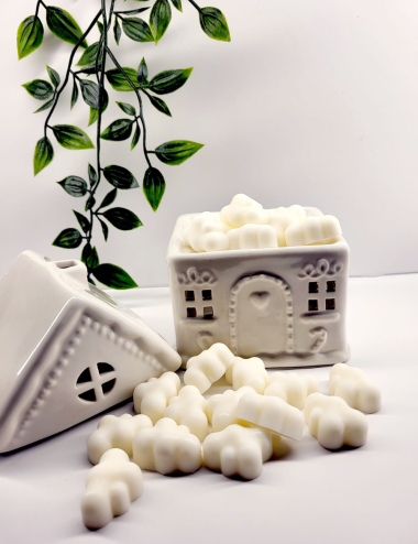 Brûleur Maison des Rêves sous la neige