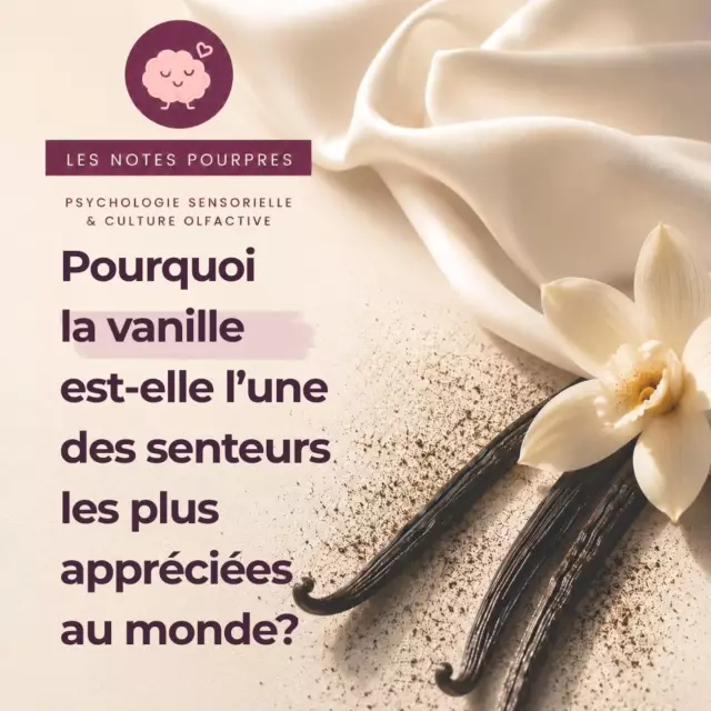 On aime une senteur sans toujours savoir ce qui la rend si particulière🩷

Avec Les Notes Pourpres, j'ai envie de partager avec toi ce qui re